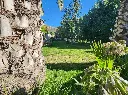 20260305_101240.webp
