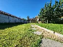 20260305_100726.webp